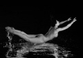 "Conductor" ....underwater image turned ;-) , without correction by photoshop! 